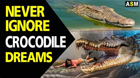 Dream Of A Crocodile Meaning (8 Reasons + Interpretations).